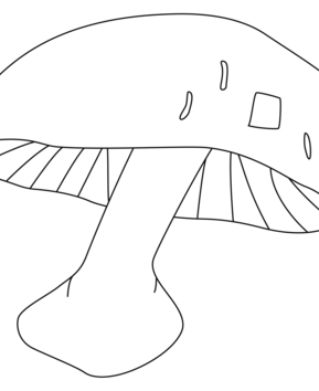 Mushroom 02 - 10doigts.fr