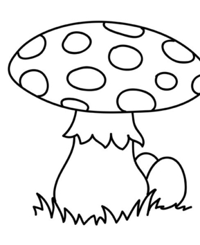 Mushroom 05 - 10doigts.fr