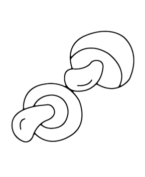 Mushrooms 02 - 10doigts.fr