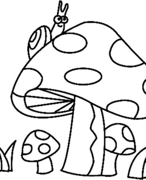 Mushrooms 03 - 10doigts.fr