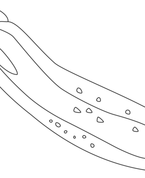 Zucchini 01 - 10doigts.fr