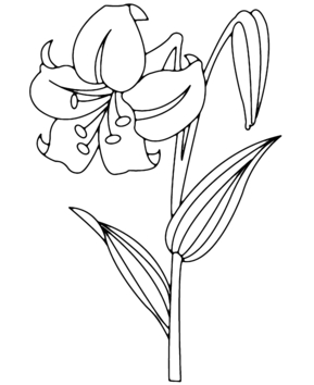 Flower 003 - 10doigts.fr