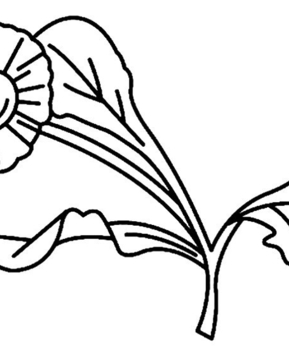 Flower 008 - 10doigts.fr