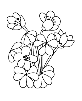 Flowers 002 - 10doigts.fr