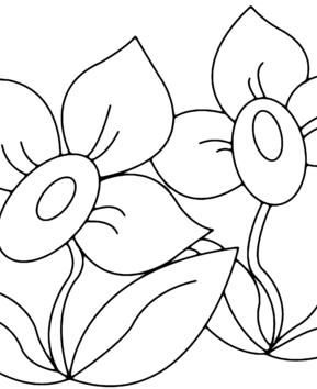 Flowers 008 - 10doigts.fr