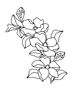 Flowers 009 - 10doigts.fr