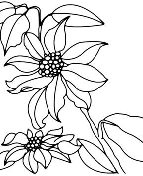 Flores 013 - 10doigts.fr