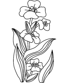 Flowers 018 - 10doigts.fr