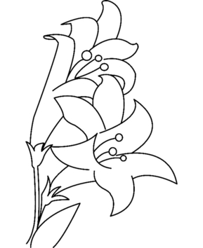 Flowers 023 - 10doigts.fr