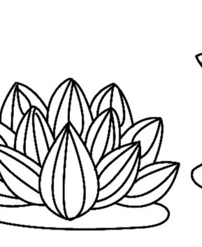 Flores 029 - 10doigts.fr