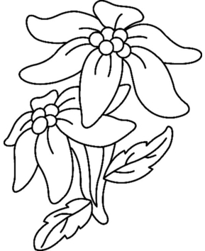 Flowers 033 - 10doigts.fr