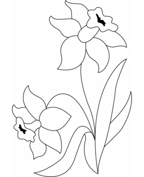 Flowers 036 - 10doigts.fr