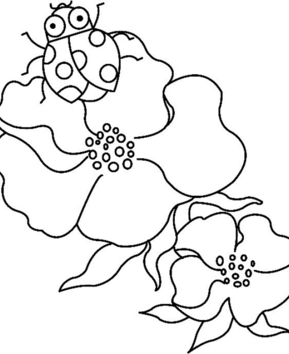 Flowers and Ladybugs 01 - 10doigts.fr