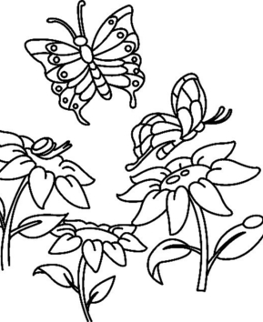 Flowers and Butterflies 07 - 10doigts.fr