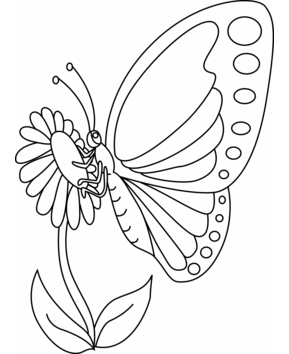 Flowers and butterflies 12 - 10doigts.fr