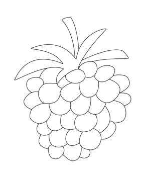 Raspberry 01 - 10doigts.fr