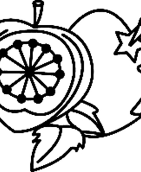 Fruits 04 - 10doigts.fr