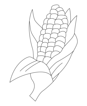 Corn 02 - 10doigts.fr