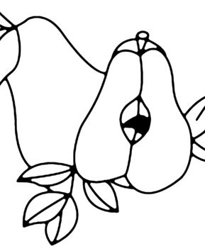 Pear 02 - 10doigts.fr