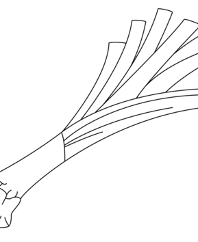 Leek 02 - 10doigts.fr