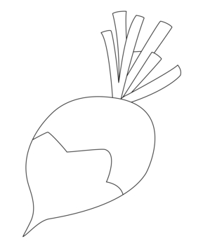 Radish 01 - 10doigts.fr