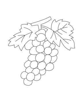 Grapes 02 - 10doigts.fr