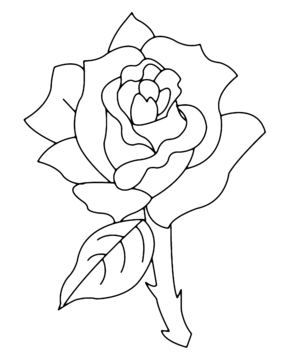 Pink 02 - 10doigts.fr