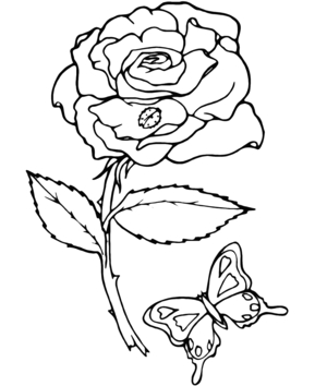 Pink 06 - 10doigts.fr