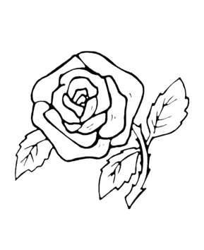 Pink 07 - 10doigts.fr