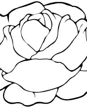 Ensalada 01 - 10doigts.fr