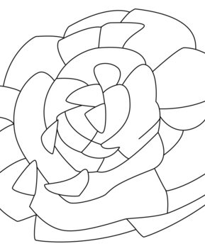 Salad 02 - 10doigts.fr