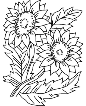 Sunflowers 01 - 10doigts.fr