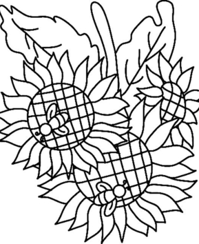 Sunflowers 02 - 10doigts.fr