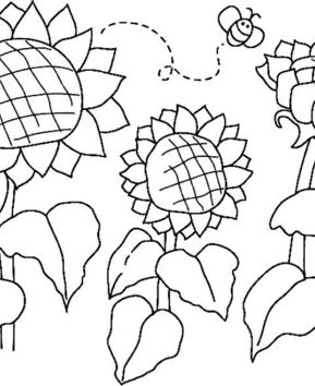 Sunflowers 03 - 10doigts.fr