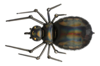 globo araña halloween - Globos de Halloween - 10doigts.fr