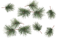Pine Branches for Inserting - 10 Pieces - 1 - Small Christmas Decorations - 10doigts.com - Small Christmas Decorations - 10doigts.fr