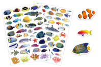 Realistic Fish Stickers - 84 pcs - 1 - Animal Stickers - 10doigts.com - Animal Stickers - 10doigts.fr