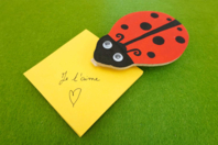 Kit de notas Coccinelle - Bloc de notas - 10doigts.fr