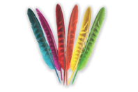 Striped Colorful Feathers - 24 Pieces - 1 - Decorative Feathers - 10doigts.com - Decorative Feathers - 10doigts.fr