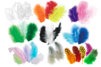Choice of Colored Camouflage Feathers - Approximately 50 Feathers - 1 - Decorative Feathers - 10doigts.com - Decorative Feathers - 10doigts.fr