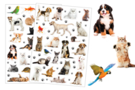 Animal Stickers - 42 pcs - 1 - Realistic Stickers - 10doigts.com - Realistic Stickers - 10doigts.fr