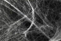 Stretchable White Spider Web - 1 - Halloween Creative Accessories - 10doigts.com - Halloween Creative Accessories - 10doigts.fr