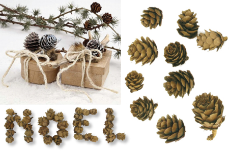 Mini Pine Cones - 15 Pieces - 7 - Dried Flowers, Pine Cones - 10doigts.com - Dried Flowers, Pine Cones – 10doigts.fr