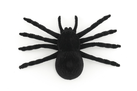 Realistic Large Spiders - 4 Pieces - 2 - Halloween Creative Accessories - 10doigts.com - Halloween Creative Accessories – 10doigts.fr