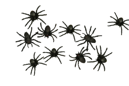 Black Spiders - 10 Pieces - 2 - Halloween Creative Accessories - 10doigts.com - Halloween Creative Accessories – 10doigts.fr
