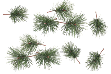 Pine Branches for Inserting - 10 Pieces - 1 - Small Christmas Decorations - 10doigts.com - Small Christmas Decorations – 10doigts.fr