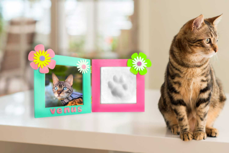 Double Baby Footprint Frame + Photo - Imprints - Molding and Casting – 10doigts.fr