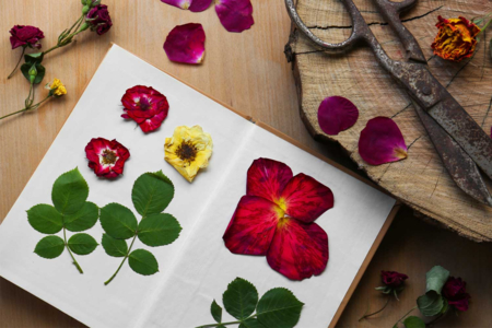 Bloc de notas blanco, cubierta kraft (14,5 x 21 cm) - Álbumes y cuadernos – 10doigts.fr