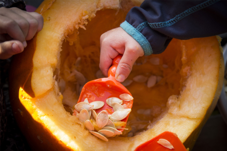 cuchara de calabaza - Kits creativos de Halloween – 10doigts.fr