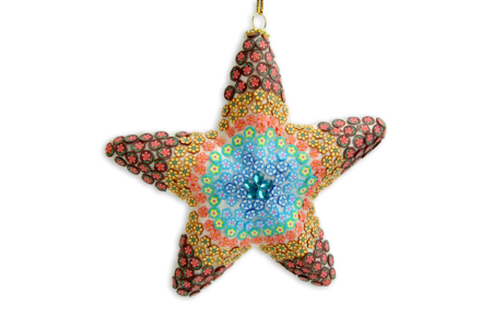 estrella canes - 10doigts.fr